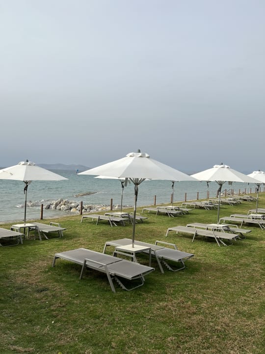 Gartenanlage Neptune Luxury Resort