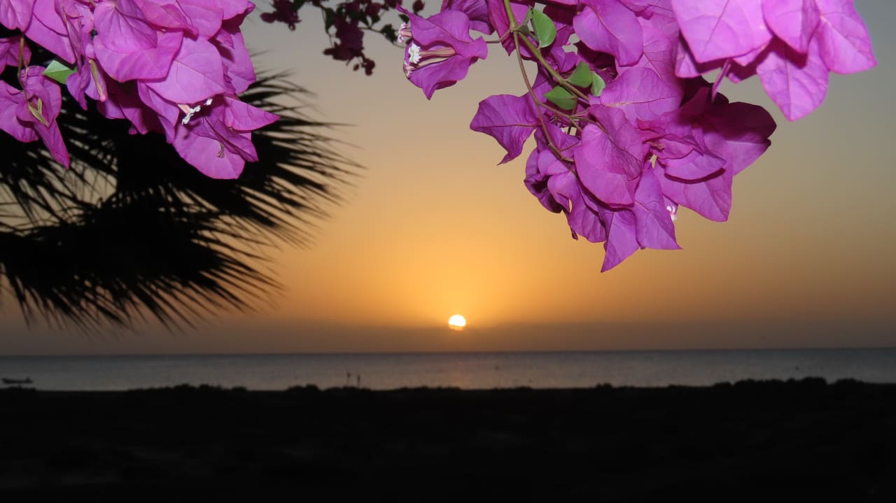 Ausblick Lahami Bay Beach Resort