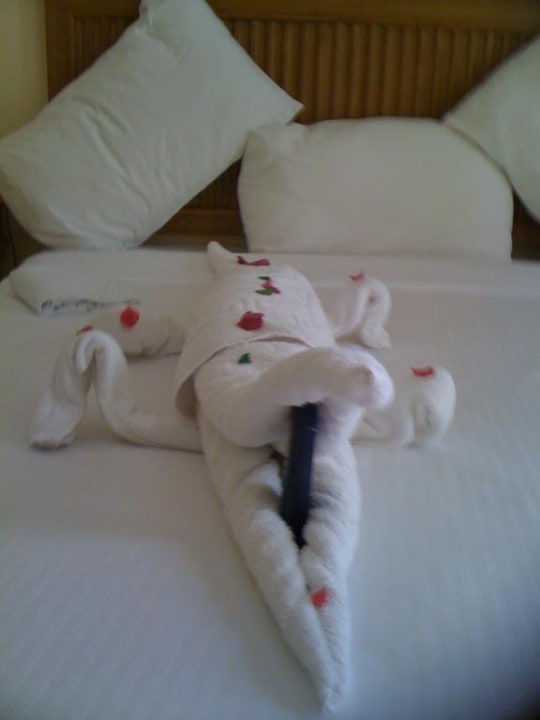 Krokodil vom Nil Sharm Resort