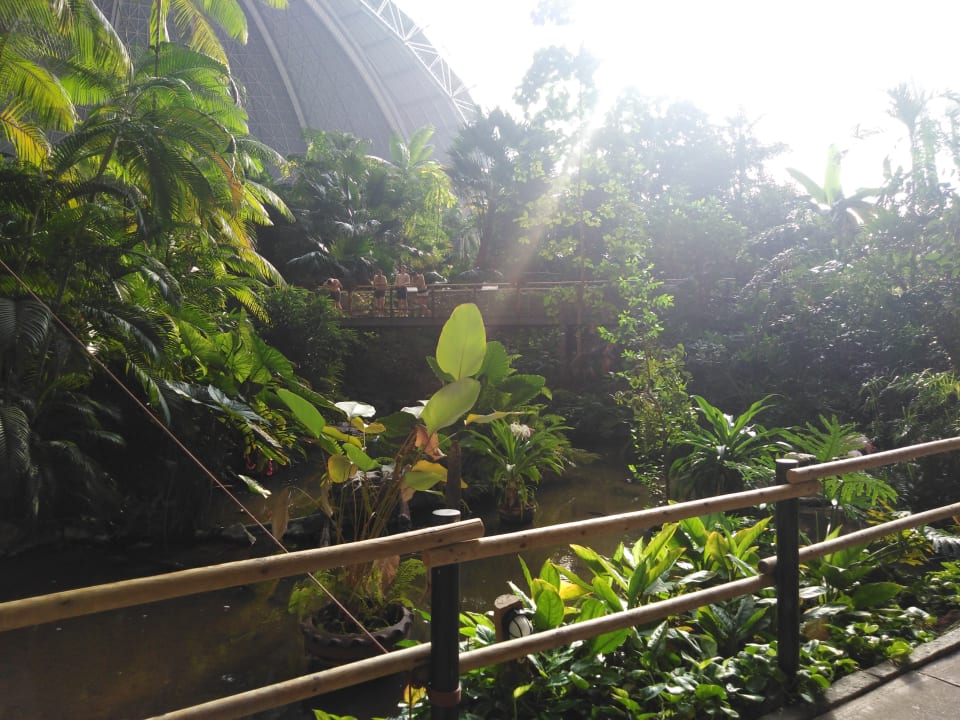 Gartenanlage Tropical Islands Resort