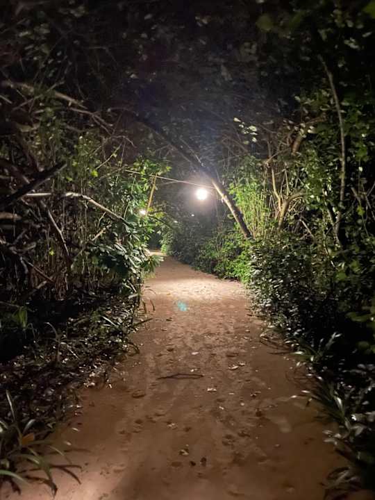 Gartenanlage Reethi Beach Resort