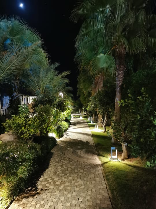 Gartenanlage Numa Bay Exclusive Hotel