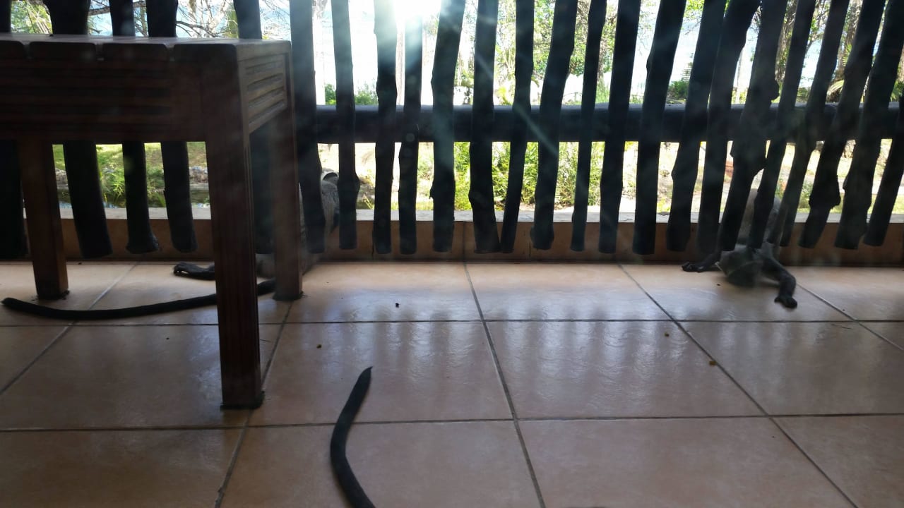 Hotel Baobab Beach Resort Baobab Beach Resort & Spa