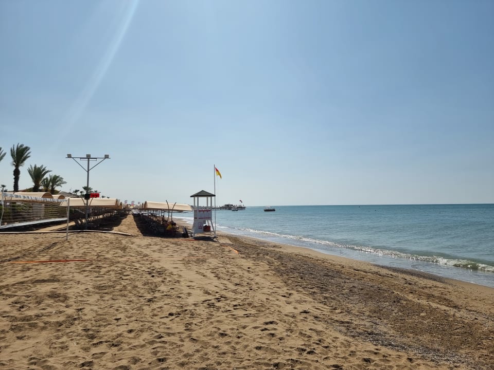 Strand Papillon Belvil