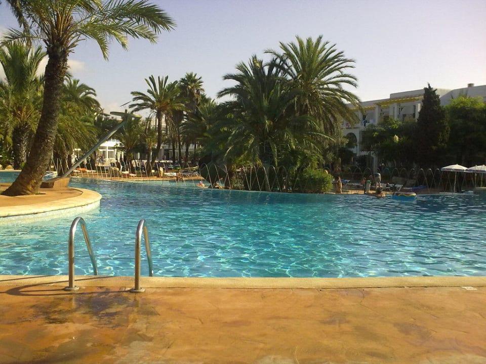Oberer Pool Calimera Fido Gardens