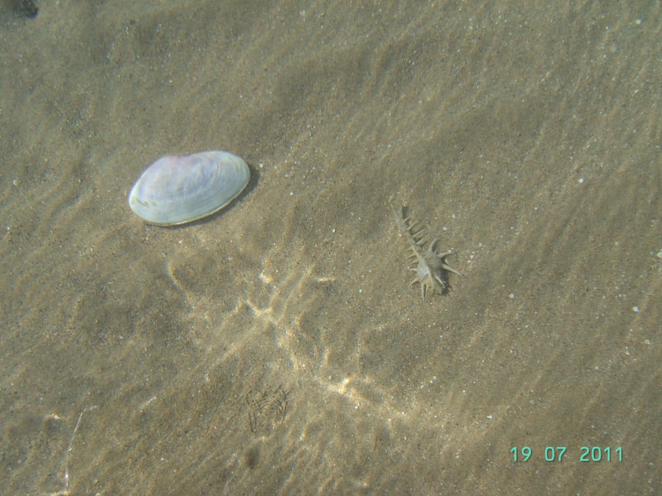 Meer Hotel Three Corners Ocean View prestige - Adults only