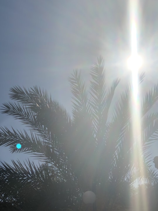 Gartenanlage Hotel Sirma