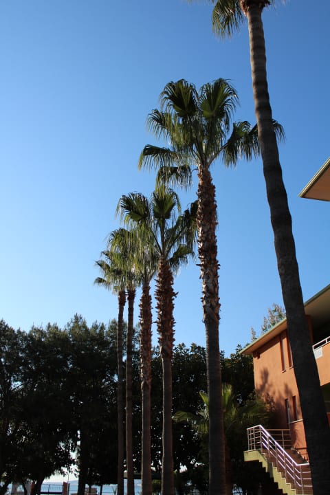 Sonstiges Lonicera Resort & Spa Hotel