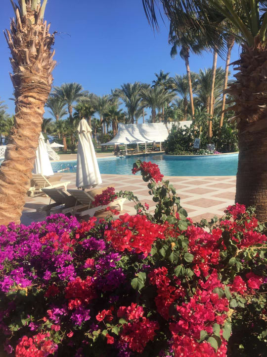 Pool Brayka Bay Resort