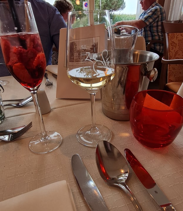 Gastro Ringhotel Zum Stein