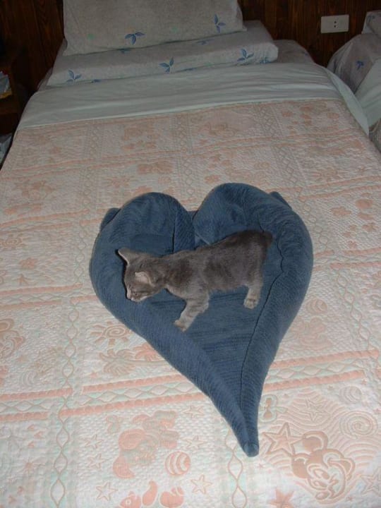 Handtuchfiguren Hotel Christina Beach Palace