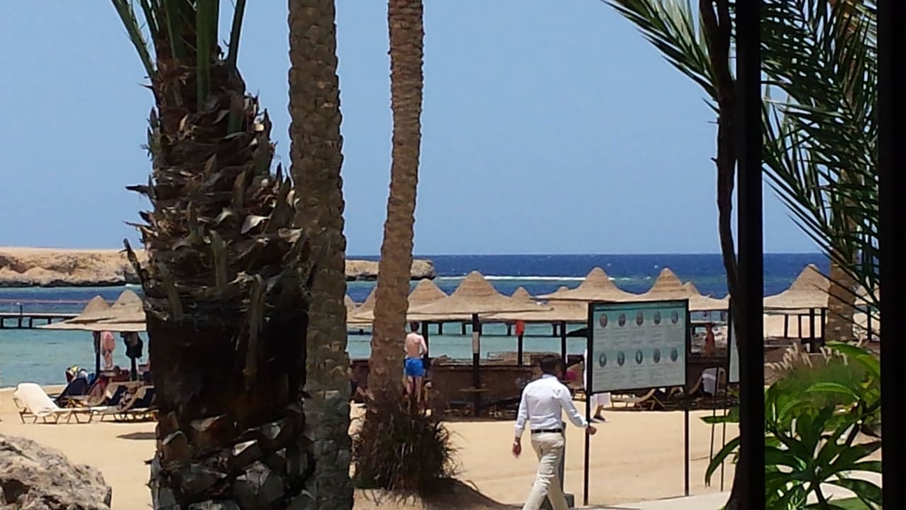 Z baru przy plaży Jaz Lamaya Resort