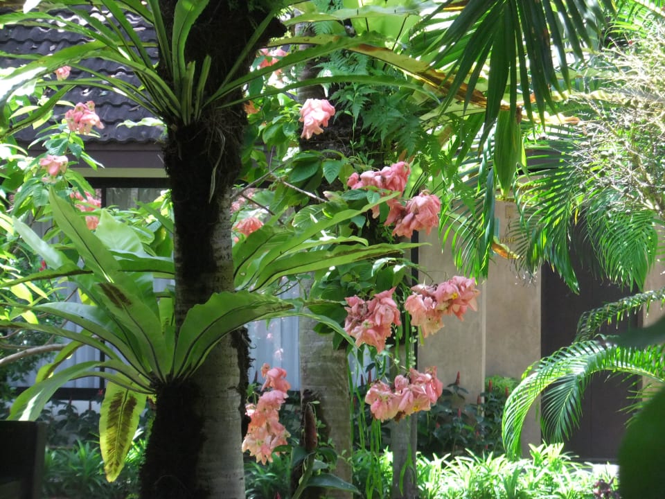 Garten Hotel Phuket Island View