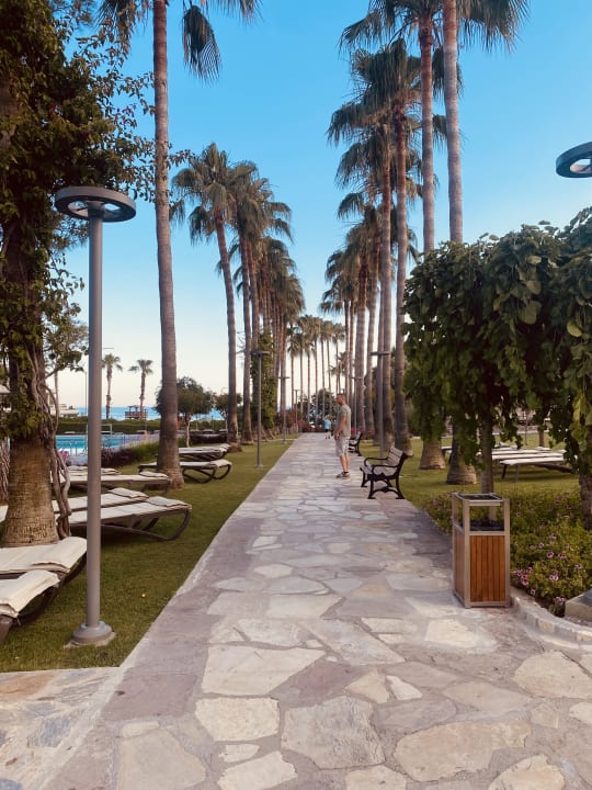 Gartenanlage Arum Barut Collection