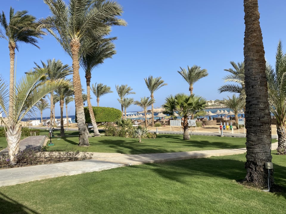 Gartenanlage Steigenberger Coraya Beach - Adults only