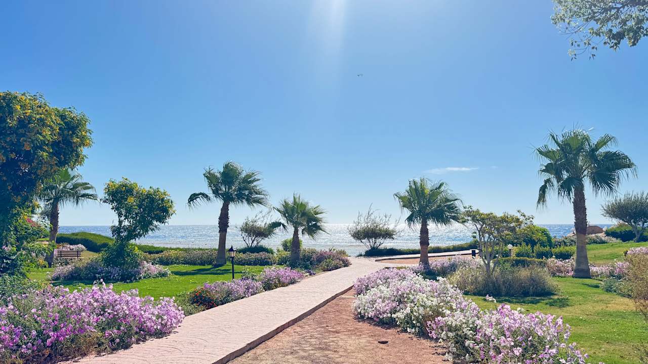 Gartenanlage Three Corners Equinox Beach Resort