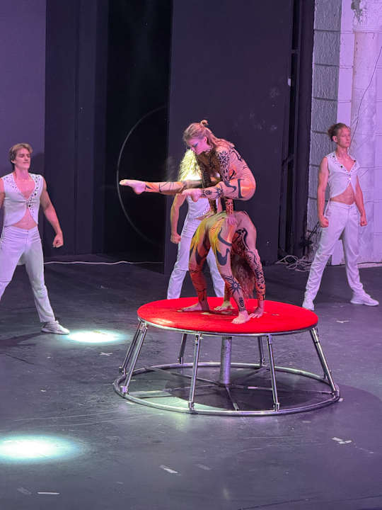 Sport & Freizeit Starlight Resort Hotel