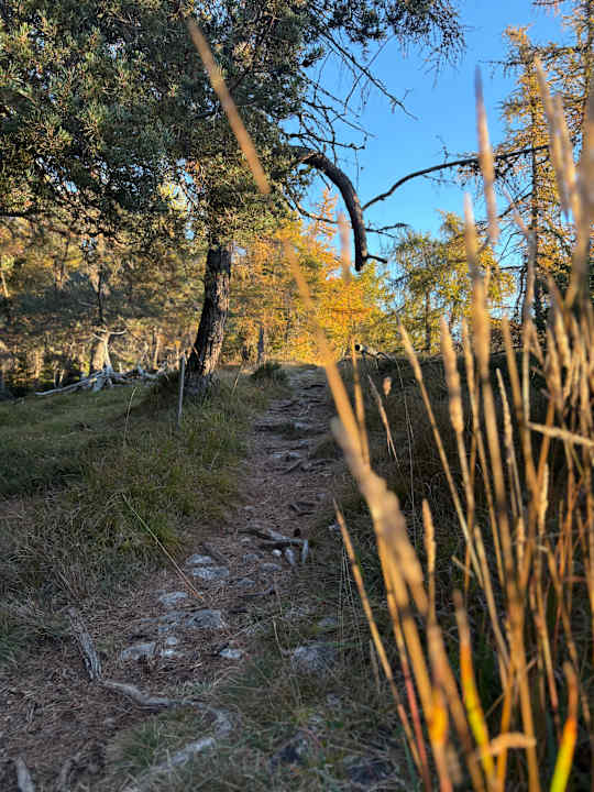 Sonstiges Panoramahotel Penegal