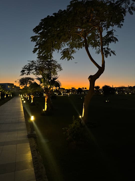 Gartenanlage SUNRISE Crystal Bay Resort