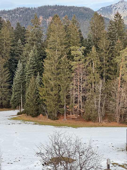 Außenansicht Franzlhof Söll am Wilden Kaiser