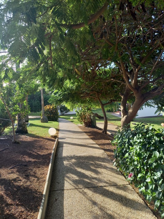 Gartenanlage allsun App.-Hotel Esquinzo Beach