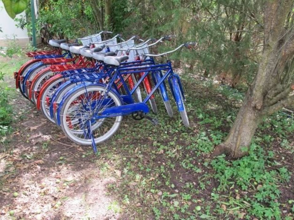 Familien Fahrat Tour Hotel Anatolia Resort