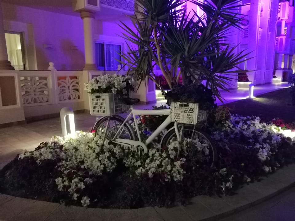 Gartenanlage Pickalbatros Palace Resort