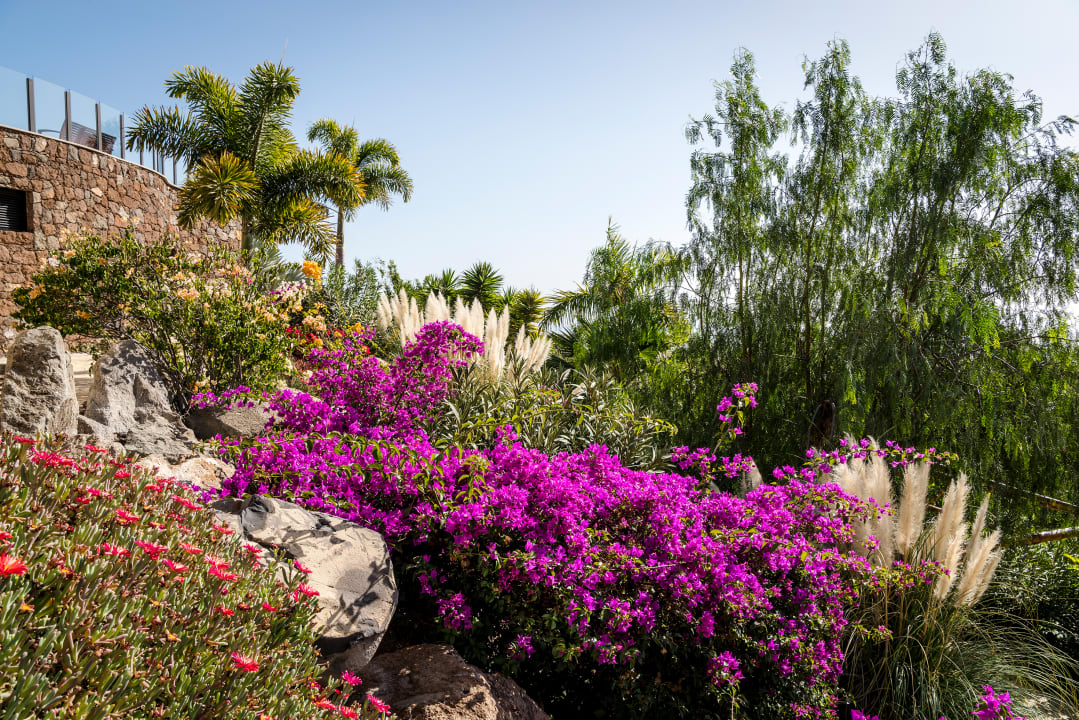 Gartenanlage Casa León Royal Retreat