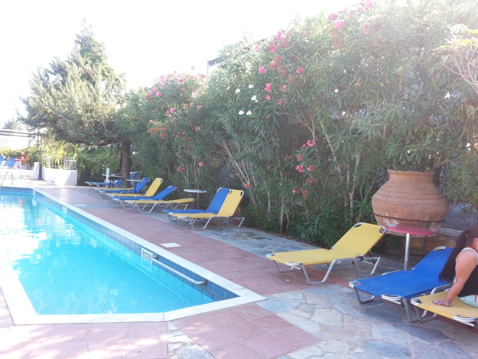 Pool Kalypso Hotel