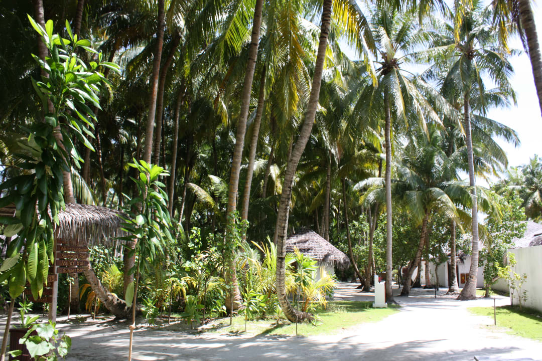 Gartenanlage Filitheyo Island Resort