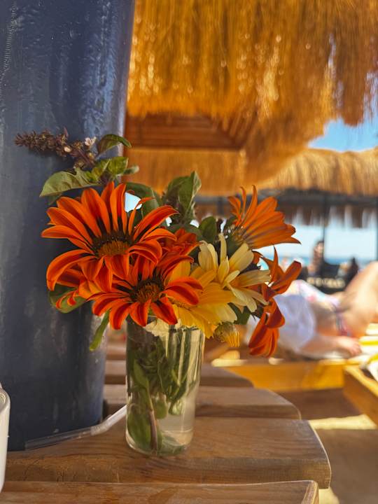 Strand Regina Resort and Aqua Park Hurghada