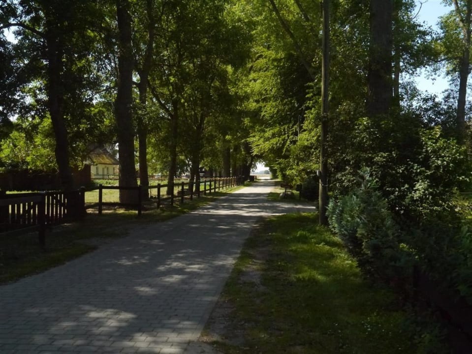 Weg/Strasse Richtung Pferdekoppel/Naturstrand Appartements Pferdehof & Haus Bela
