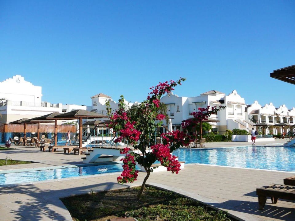 duch die Blume Lahami Bay Beach Resort