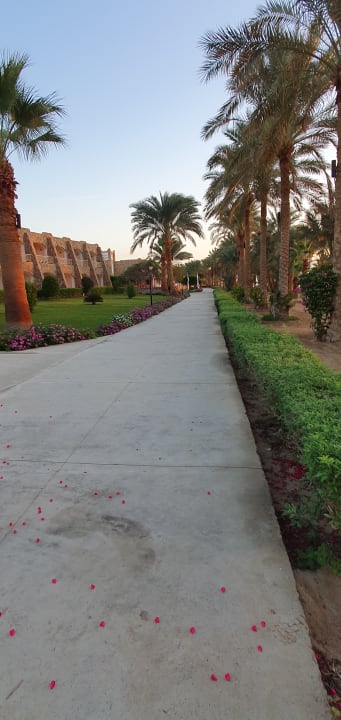 Gartenanlage Brayka Bay Resort