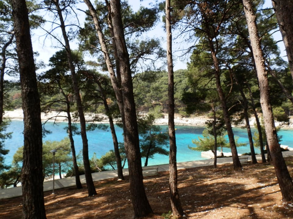 Klares Wasser Hotel Aurora