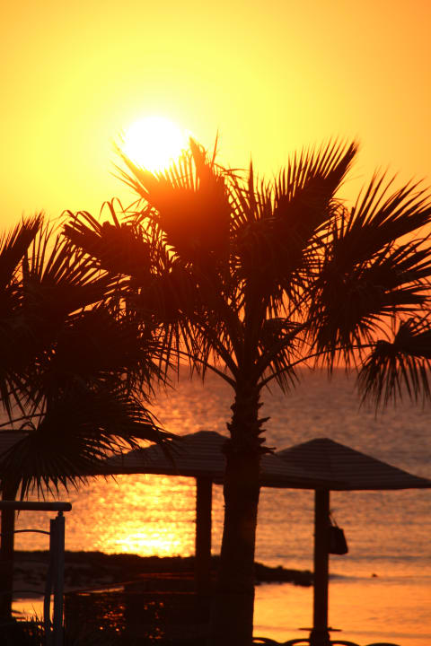 Strand Shams Prestige Abu Soma-Adults Only