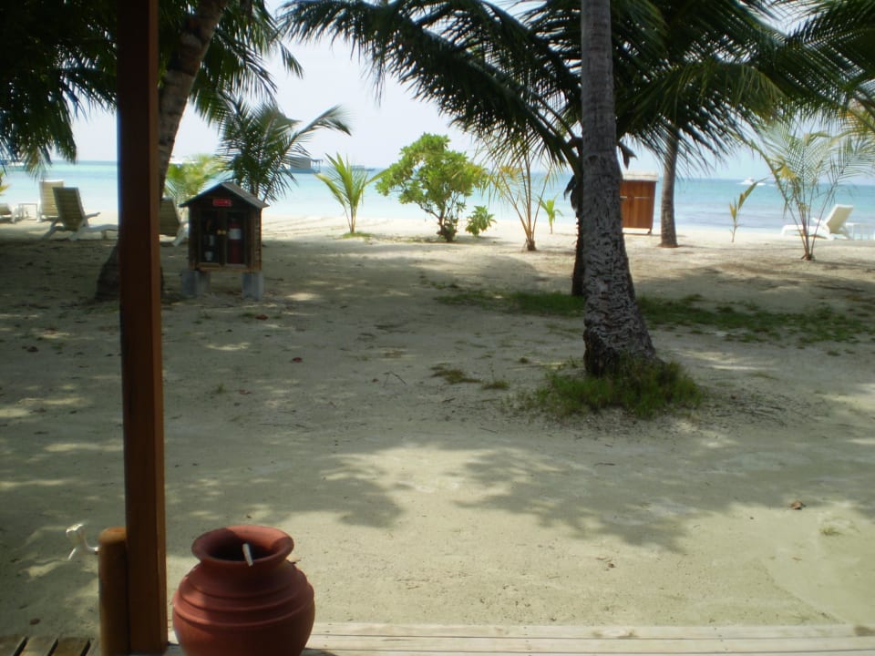Blick von der Terrasse (JVB 104) Meeru Maldives Resort Island