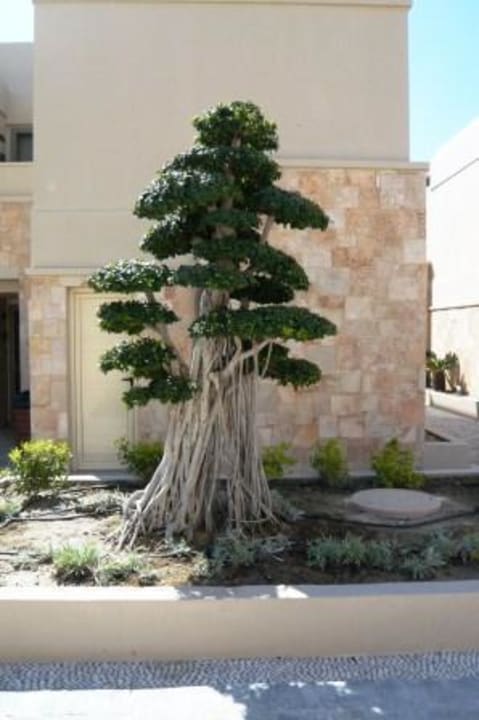 Bonsai Aquagrand Artistic Luxury Beach Resort - Adults only
