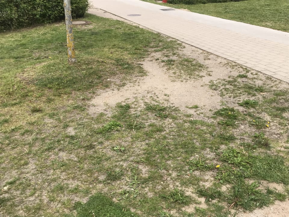 Gartenanlage BEECH Resort Boltenhagen