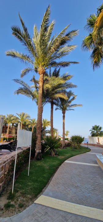 Ausblick Steigenberger Coraya Beach - Adults only