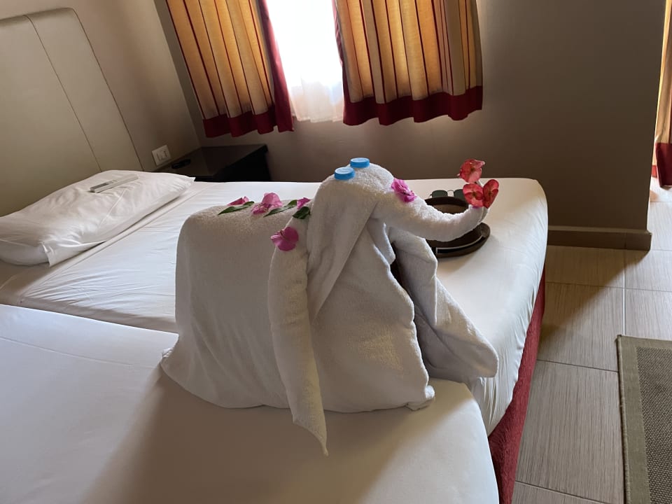 Zimmer Jaz Makadi Oasis Resort