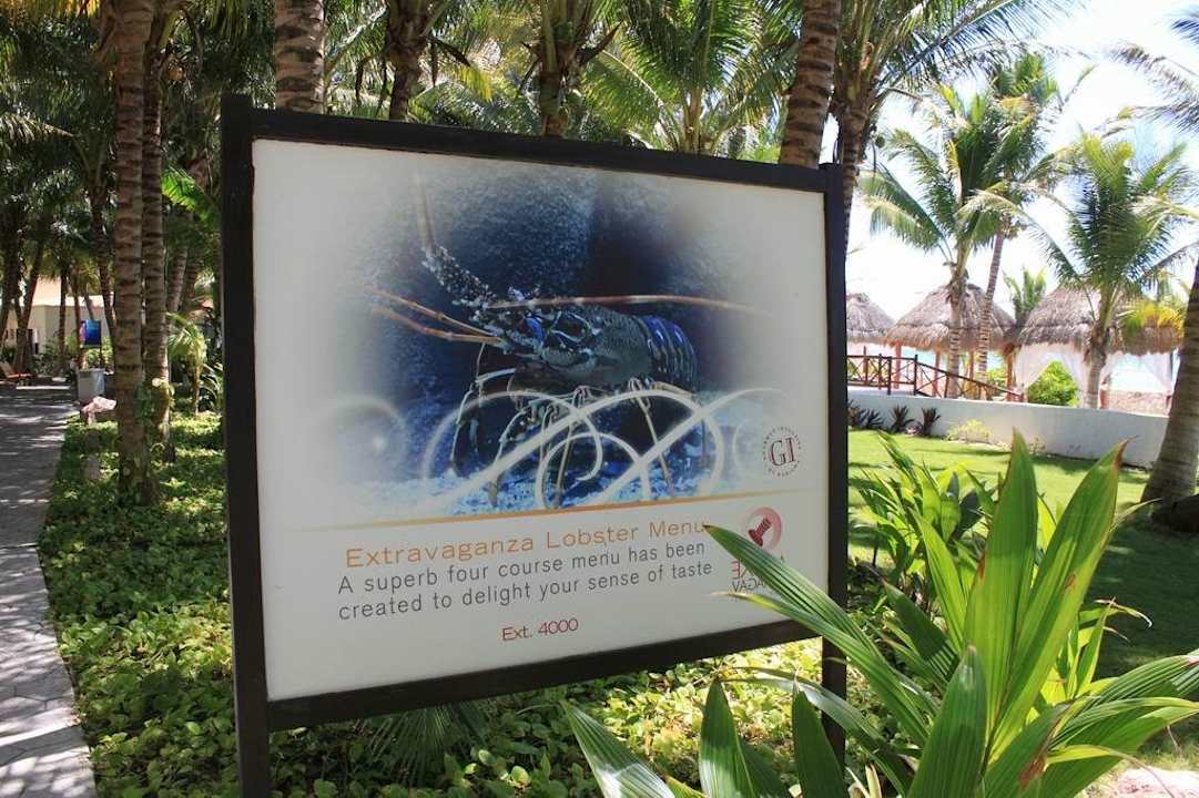 Werbeschild Live-Lobster TUI BLUE El Dorado Seaside Suites