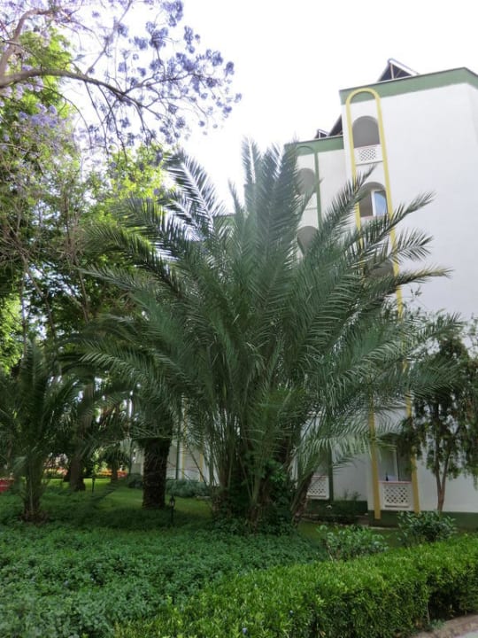 Gartenanlage Botanik Hotel & Resort