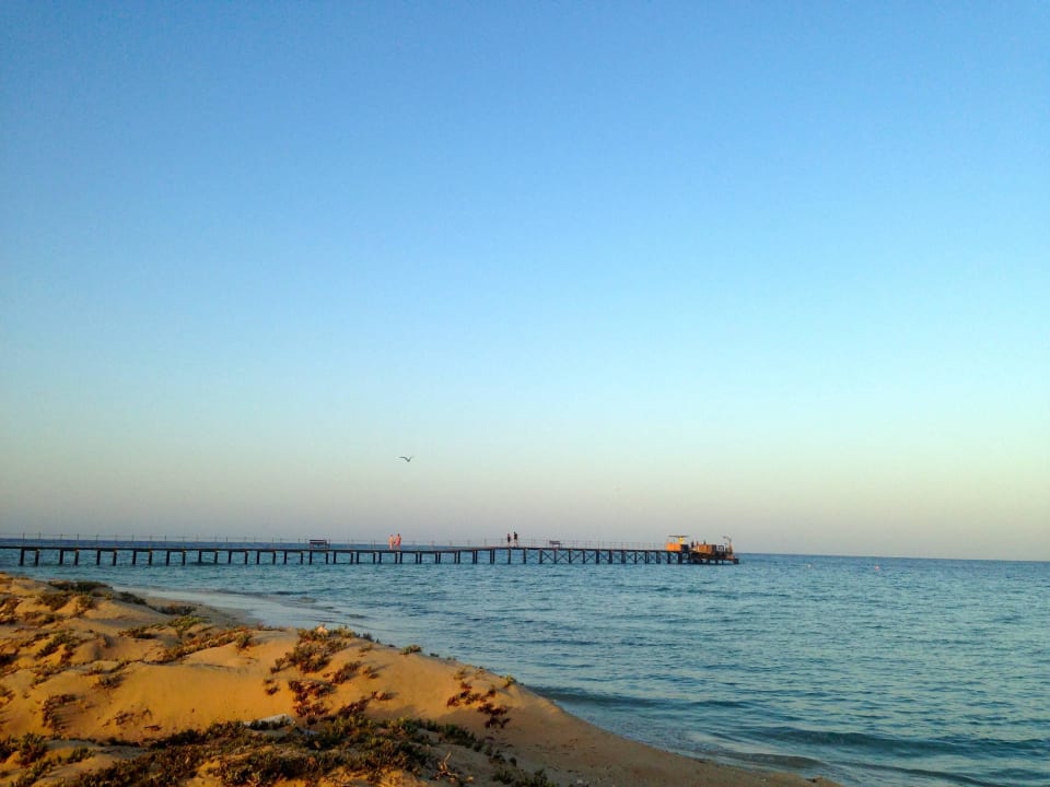 Blick auf den Steg bei Sonnenuntergang Hotel Gorgonia Beach Resort