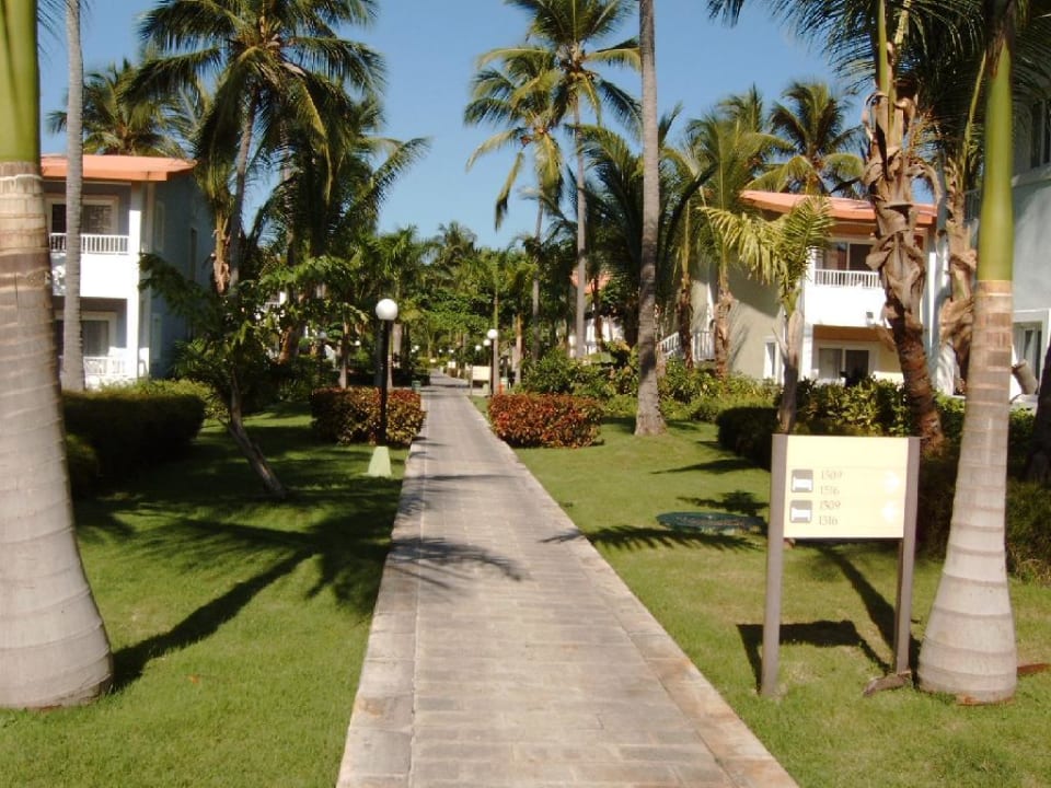 Weite Wege ohne Ende Hotel Riu Bambu