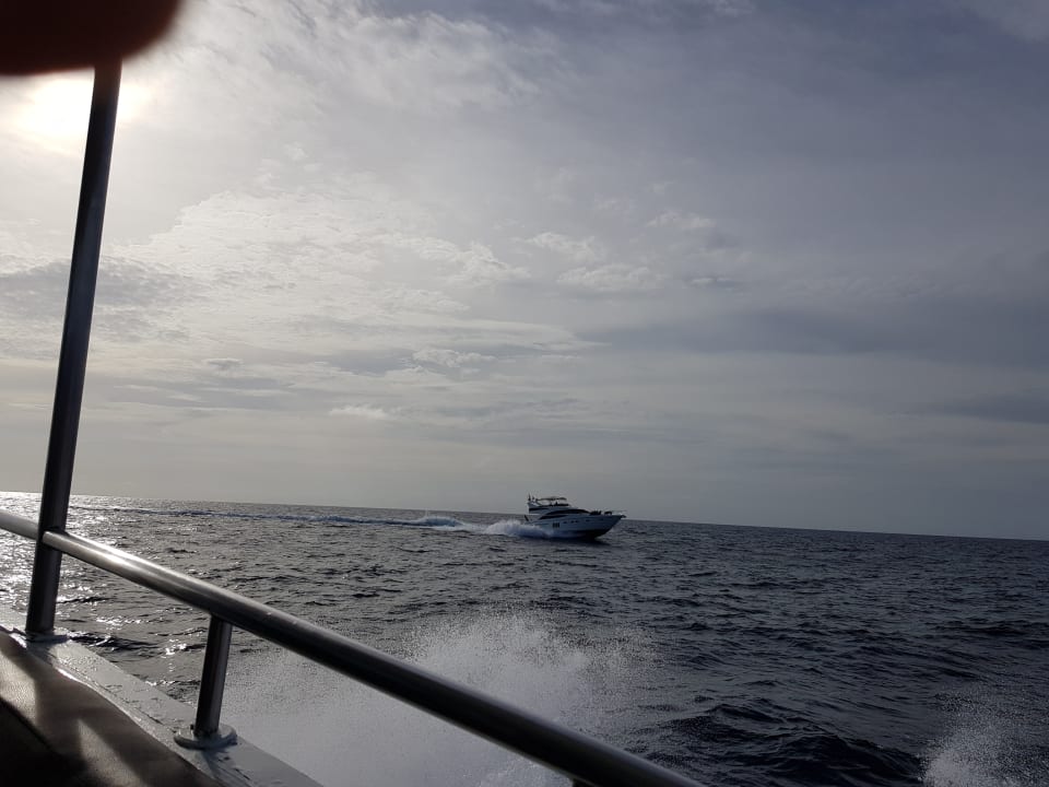 Der Transfer zur Insel  Kuramathi Maldives