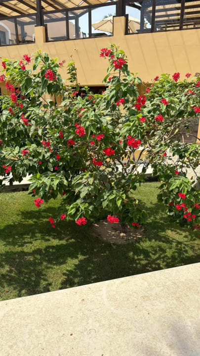 Gartenanlage Jaz Solaya