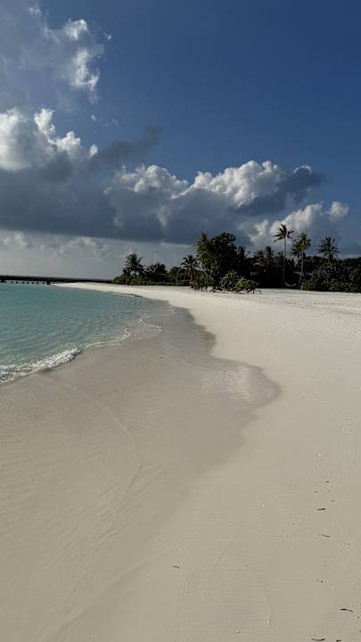 Strand Jawakara Islands Maldives