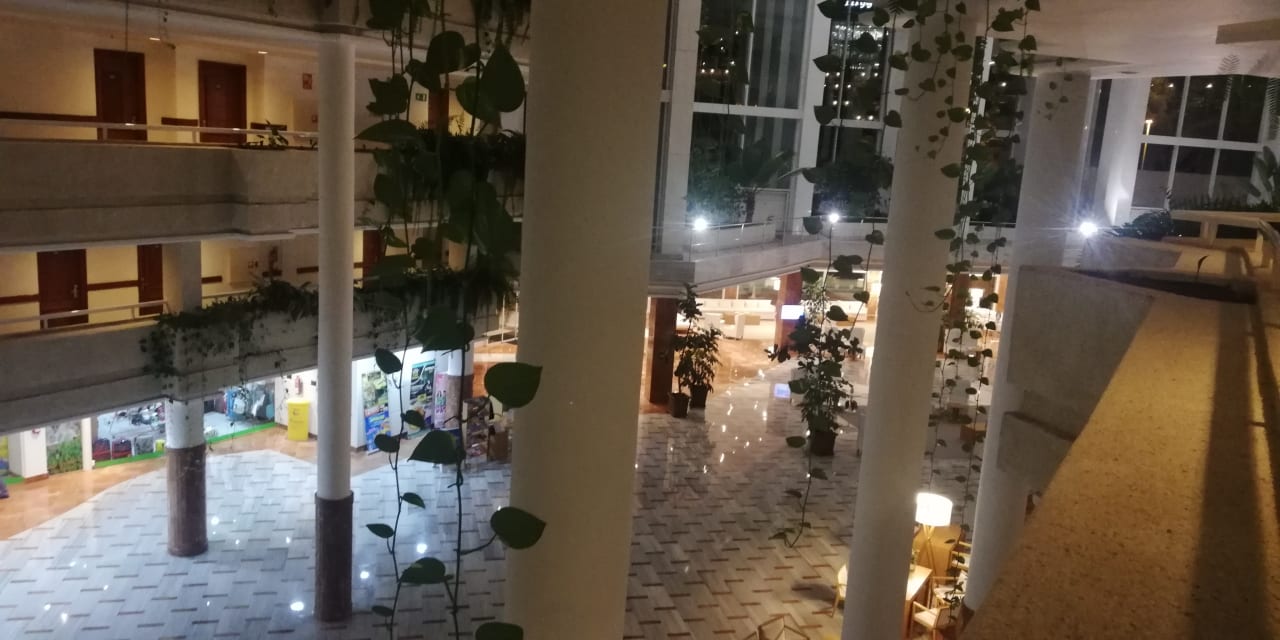 Lobby Landmar Playa La Arena