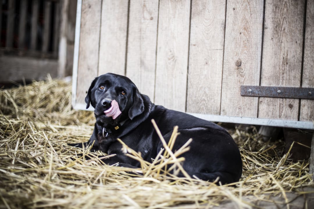 Sonstiges Familienhotel Ebbinghof